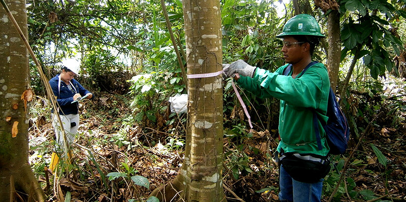 Línea base biótica para el estudio de impacto ambiental del proyecto Puerto Fluvial Barrancabermeja (Santander)