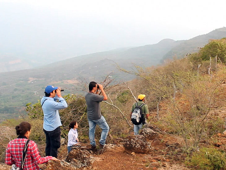 Estrategia regional para la conservación de las aves amenazadas en el departamento de Santander
