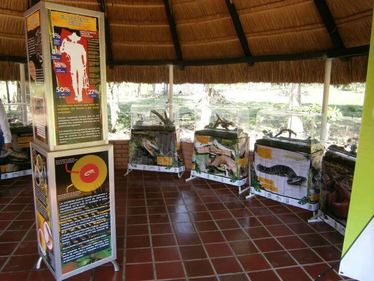 0005-exhibiciones-zoologicas-0011