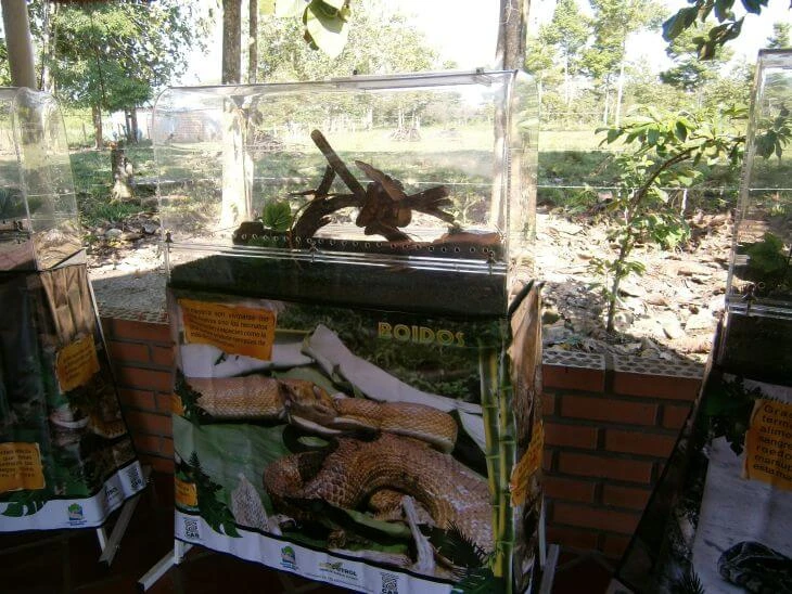 0005-exhibiciones-zoologicas-0021