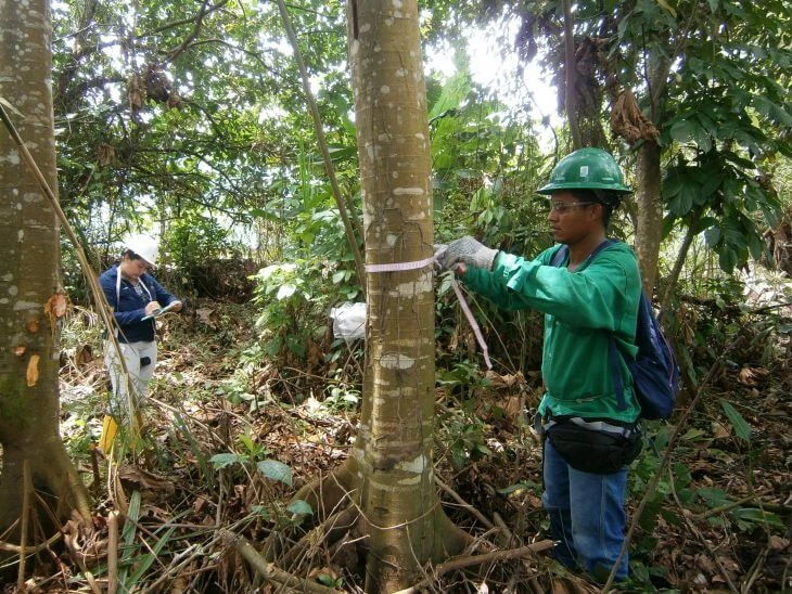 0006-linea-base-biotica-estudio-de-impacto-ambiental-proyecto-puerto-fluvial-barrancabermeja-06