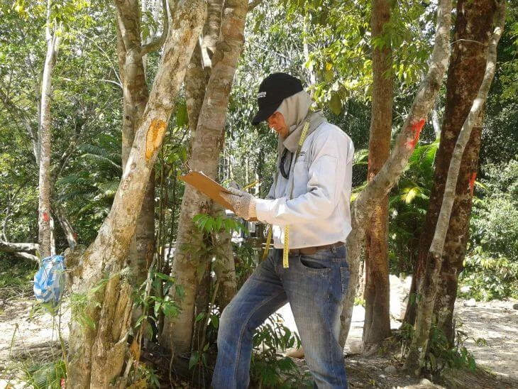 0008-inventario-forestal-faunistico-construccion-puente-01
