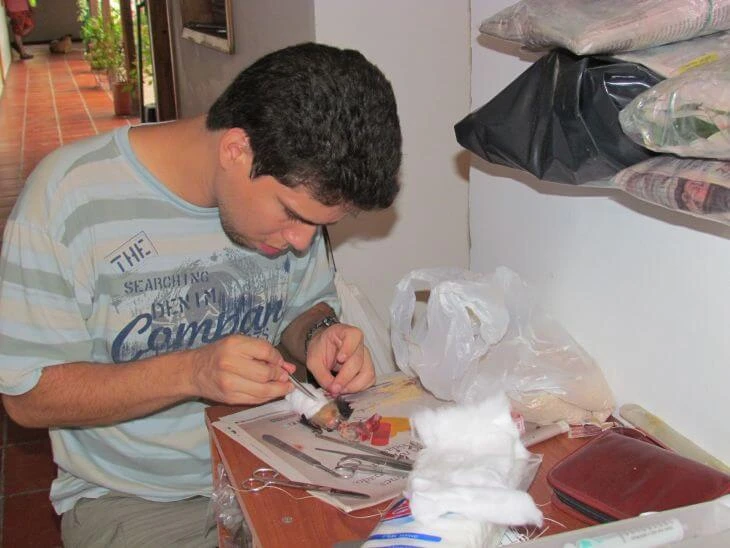 0009-caracterizacion-ocd-05