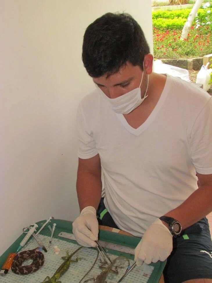 0009-caracterizacion-ocd-06