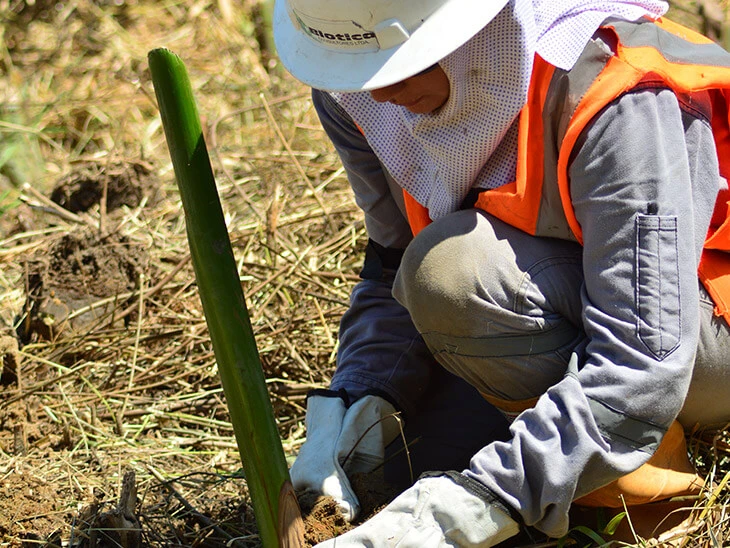 0013-programa-conservacion-de-habitats-07