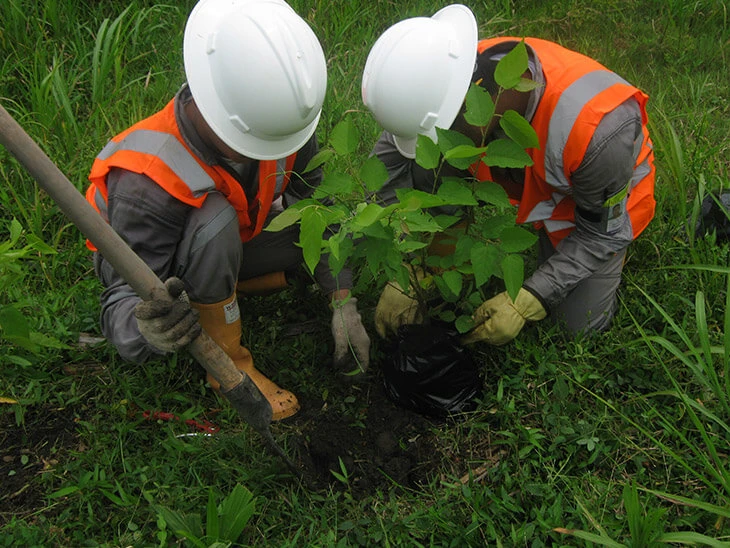 0013-programa-conservacion-de-habitats-11