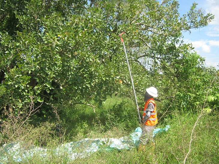 0013-programa-conservacion-de-habitats-14