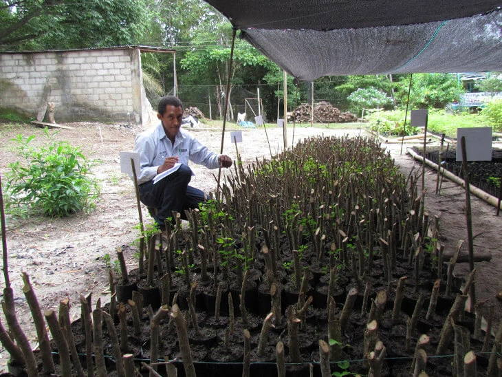 0013-programa-conservacion-de-habitats-15