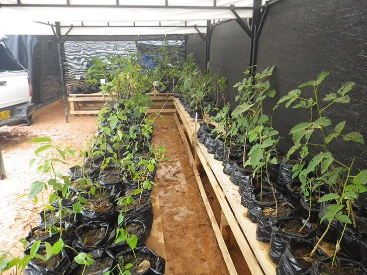 0013-programa-conservacion-de-habitats-16
