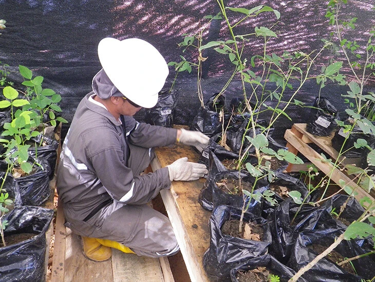 0013-programa-conservacion-de-habitats-19