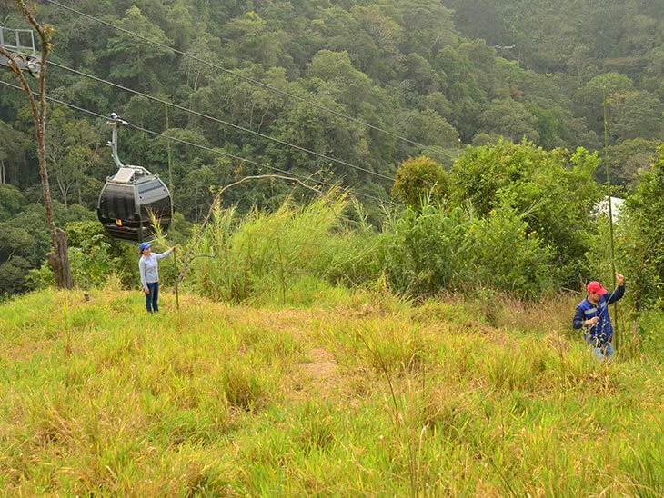 0022-guia-ecoturistica-plantas-aves-la-esperanza-06