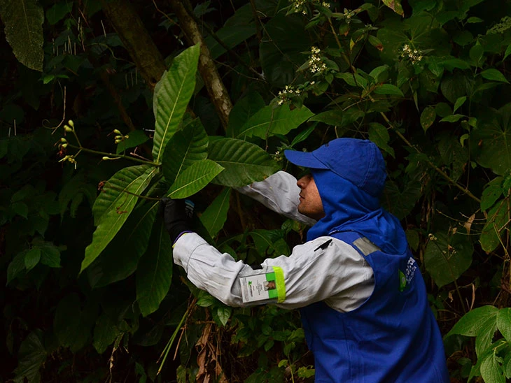 0022-guia-ecoturistica-plantas-aves-la-esperanza-08