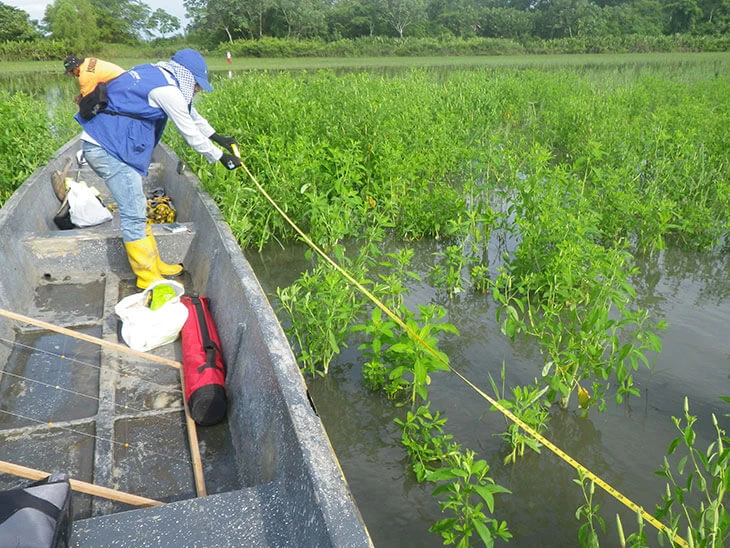 0023-delimitacion-humedal-cienaga-chucuri-puerto-parra-santander-02