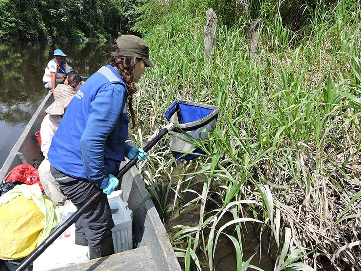 0024-caracterizacion-habitat-manati-antillano-cienaga-san-juana-cano-san-juan-06