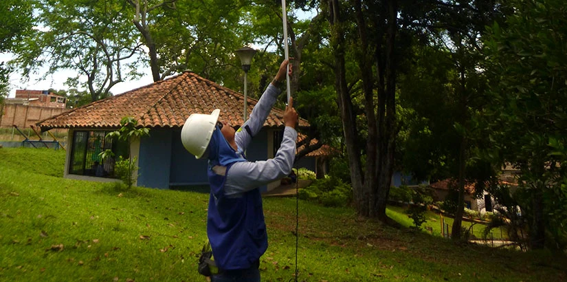 0025-inventario-forestal-sede-regional-icbf-y-centros-zonales-00