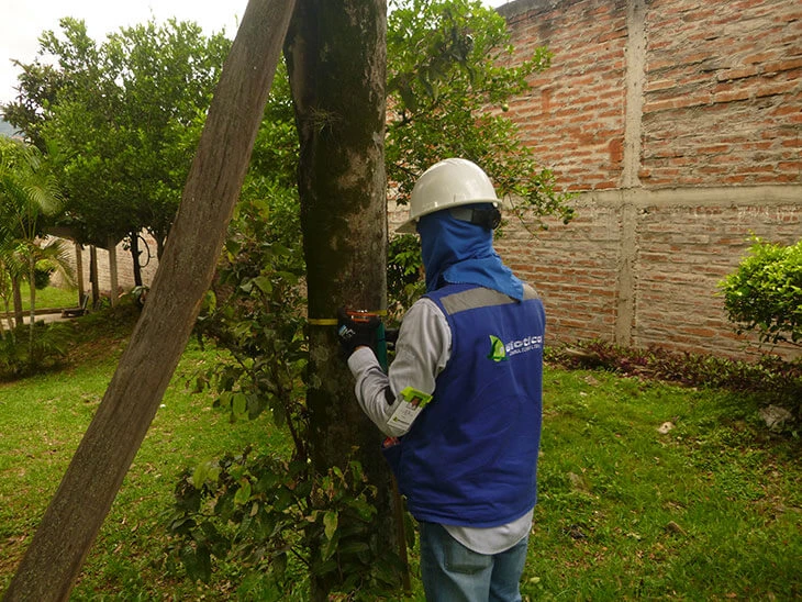 0025-inventario-forestal-sede-regional-icbf-y-centros-zonales-01