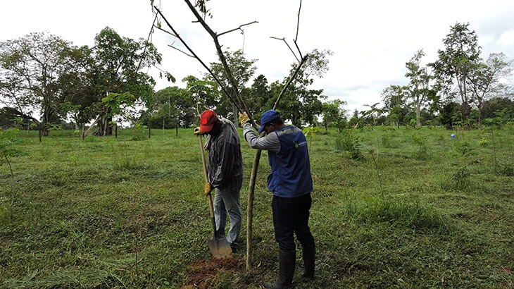 0029-implementacion-restauracion-esmeralda-estrella-06