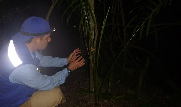 0030-monitoreo-fauna-silvestre-07
