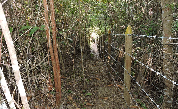 0032-compensacion-forestal-floresta-maceo-05