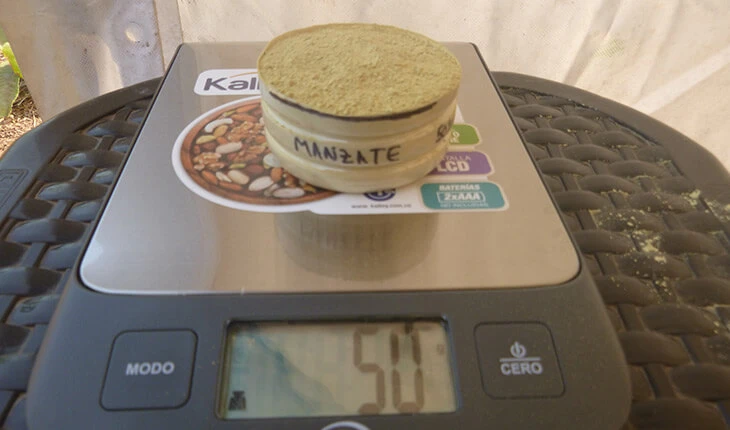 0037-siembra-plantas-nativas-zona-hidrica-yondo-04