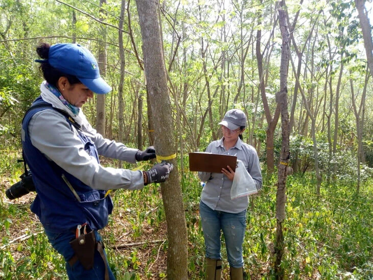0040-monitoreo-flora-embalse-topocoro-santander-01