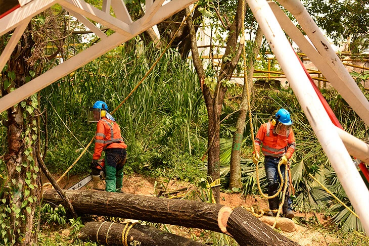 0042-aprovechamiento-forestal-urbano-floridablanca-02